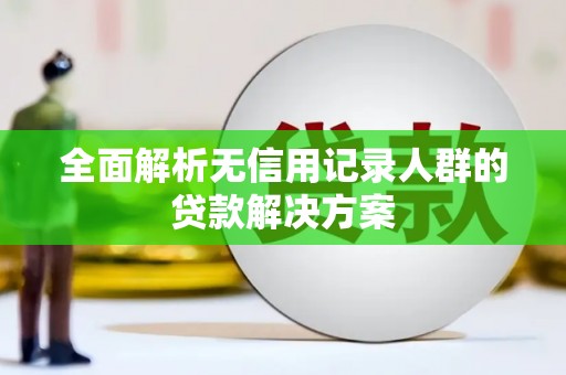 大武全面解析无信用记录人群的贷款解决方案