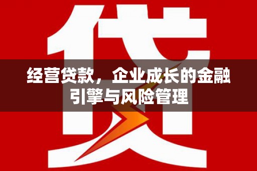 大武经营贷款，企业成长的金融引擎与风险管理