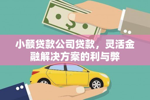 大武小额贷款公司贷款，灵活金融解决方案的利与弊