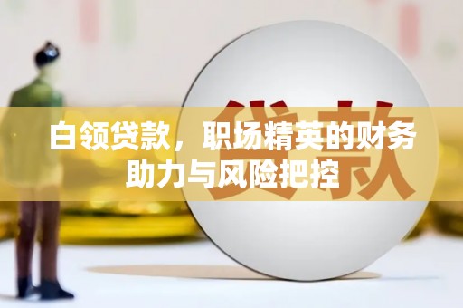 大武白领贷款，职场精英的财务助力与风险把控