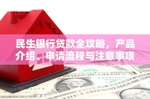 大武民生银行贷款全攻略，产品介绍、申请流程与注意事项