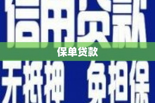 大武保单贷款
