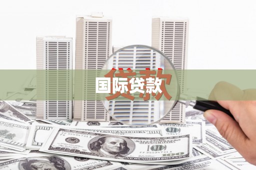 大武国际贷款